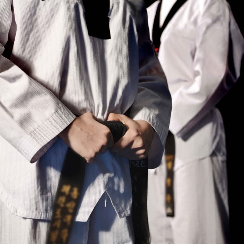 Taekwondo Experience