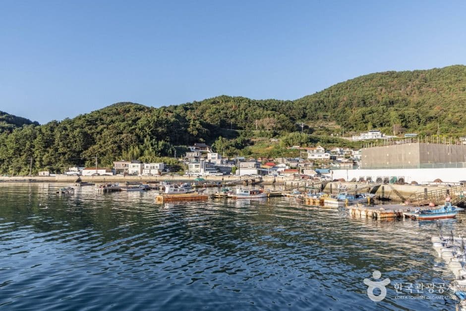 A Morning by the Sea: Yeonmyeong Fishing Village