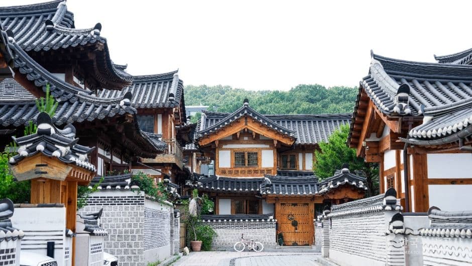 My Scene of Seoul