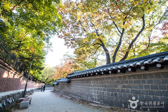 Deoksugung Stone Wall Path