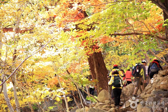 Seoraksan National Park (Outer Seorak)