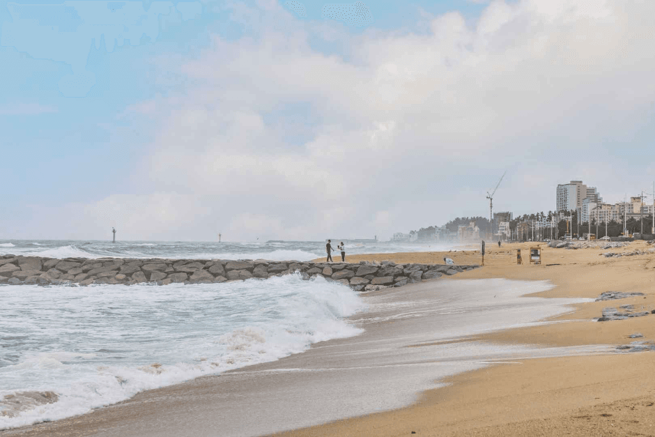 Chasing the Scene: K-Drama Gangneung