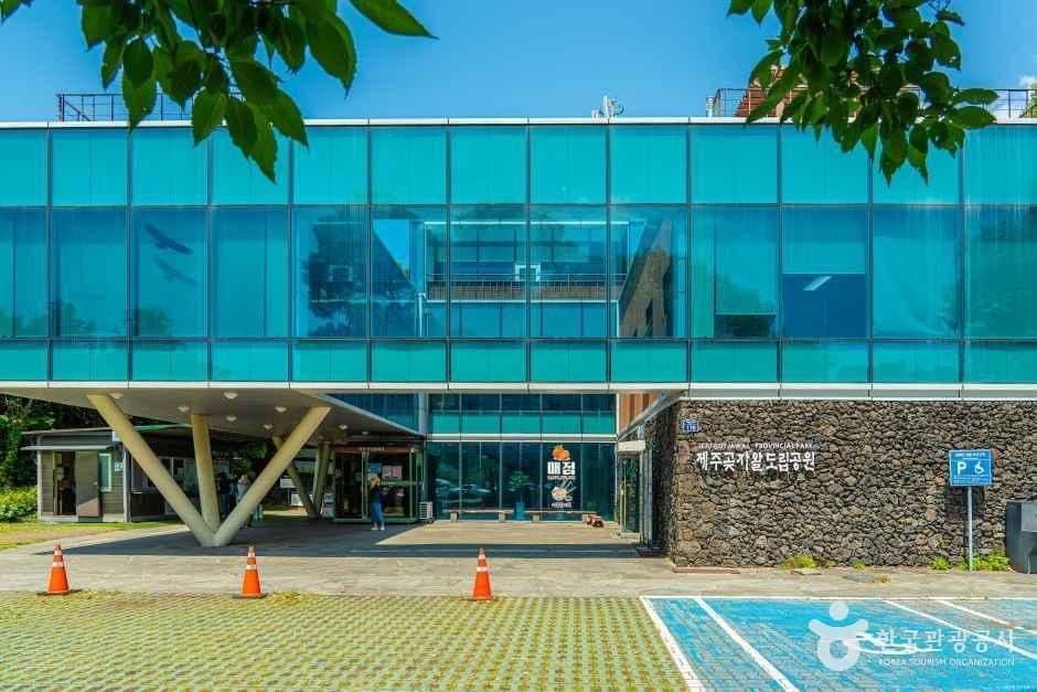 Into the Gotjawal: Jeju's Deep Shade