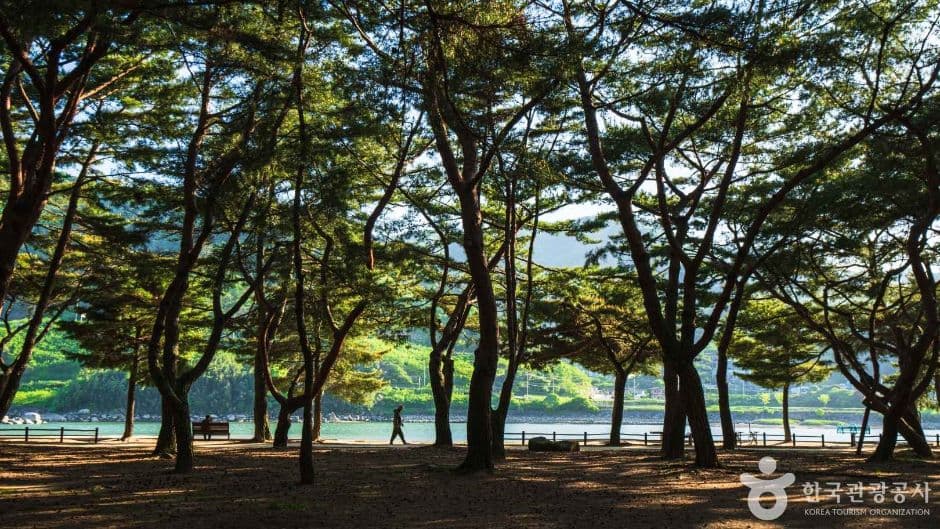 By the River: An Afternoon on the Seomjingang