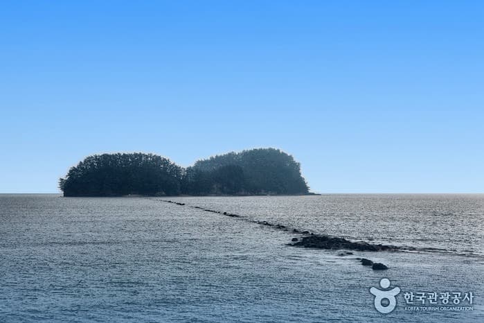 A Day on the Mudflats: Seondori