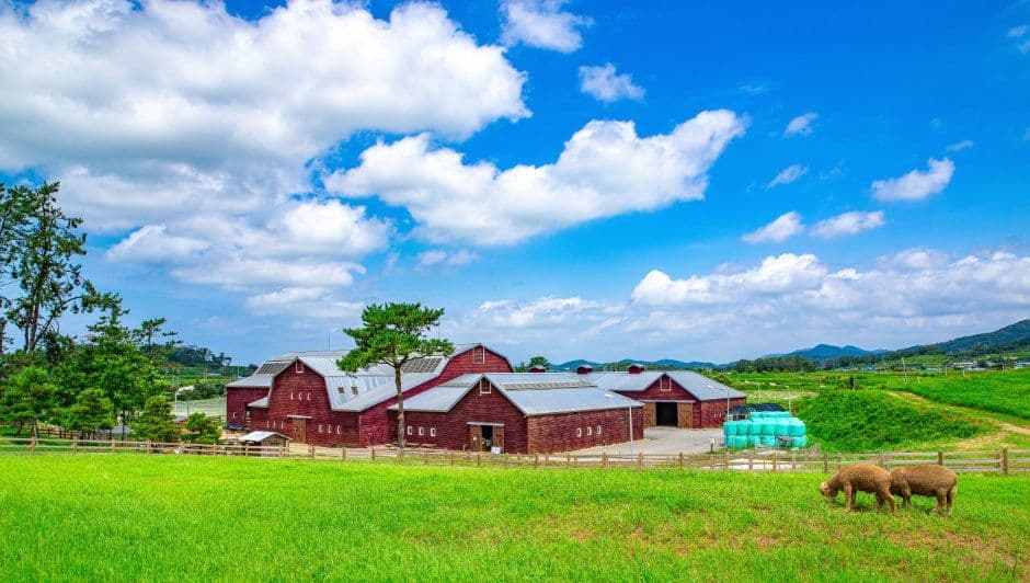 A Taste of Farm Life: Sangha Farm